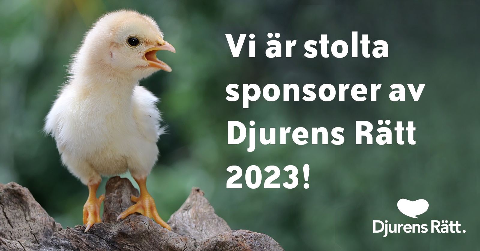 En gul kyckling står på en stubbe